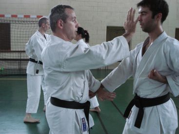Jean-Michel Moreau